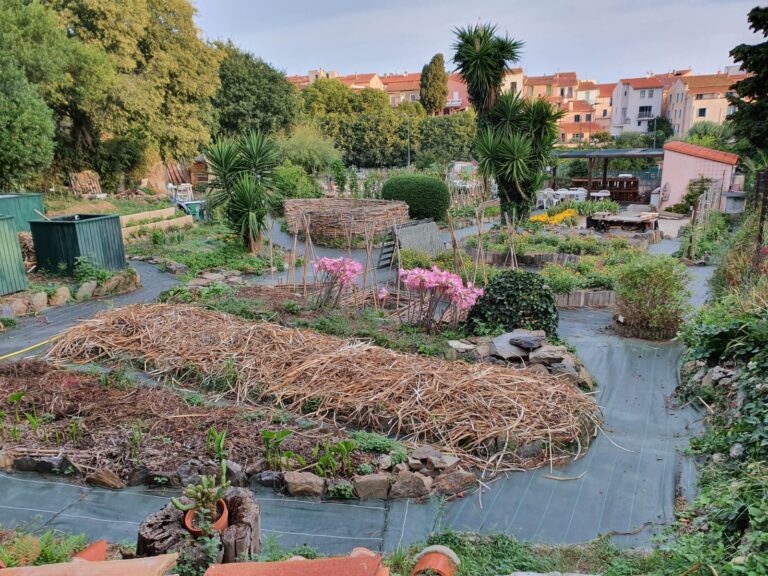 PHOTO 2022 04 11 08 15 52 768x576