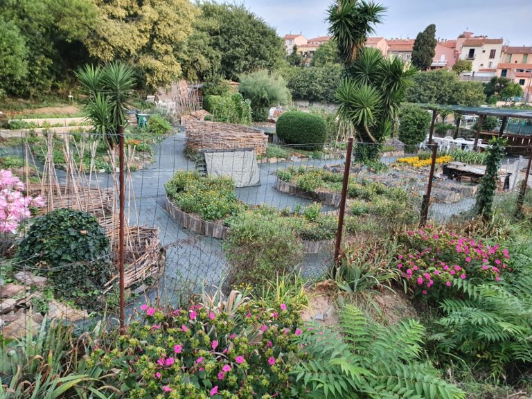 PHOTO 2022 04 11 08 17 16 768x576