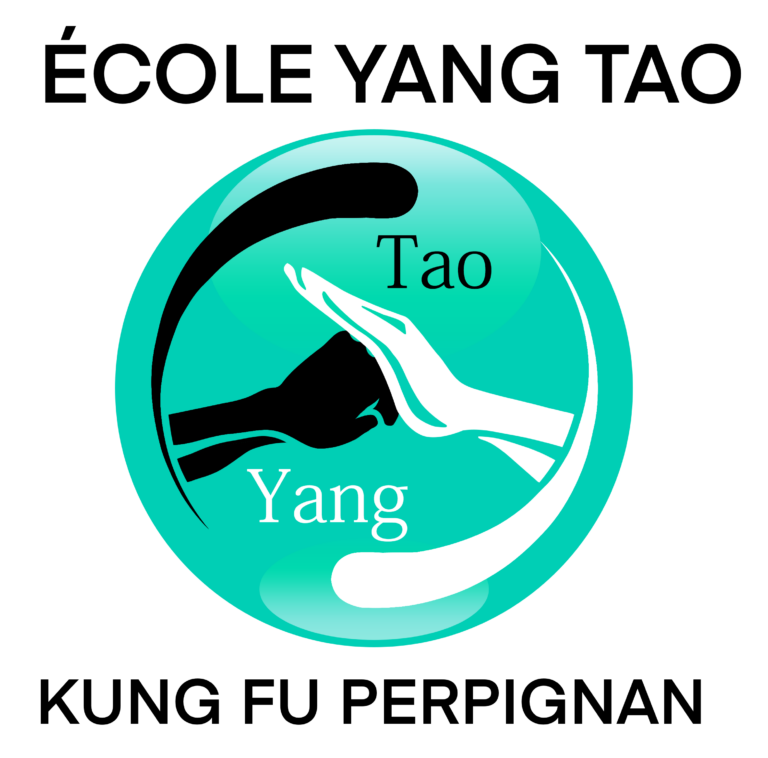 yangtao pro logo 1 768x758