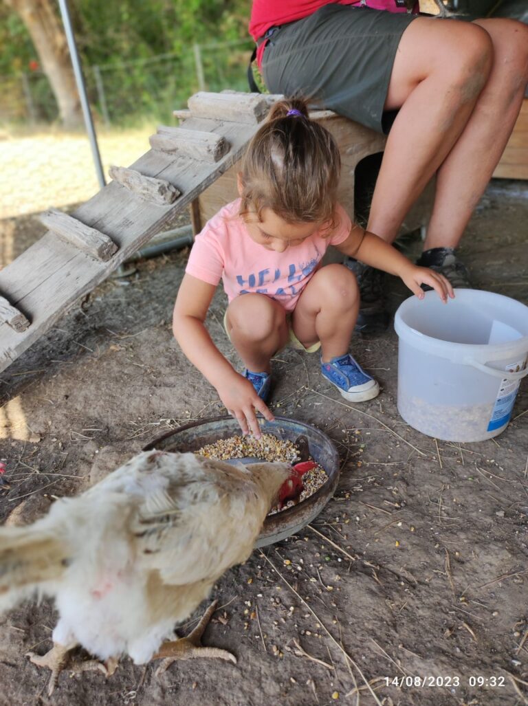 IMG 20230814 130747 768x1027