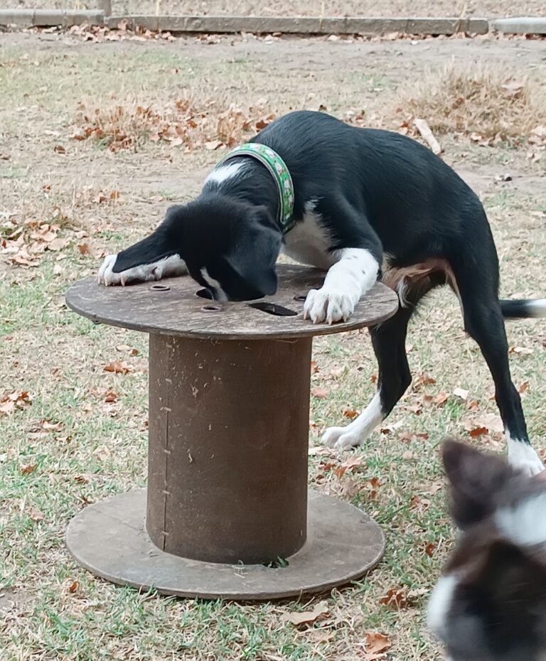 IMG 20230902 214050 768x930