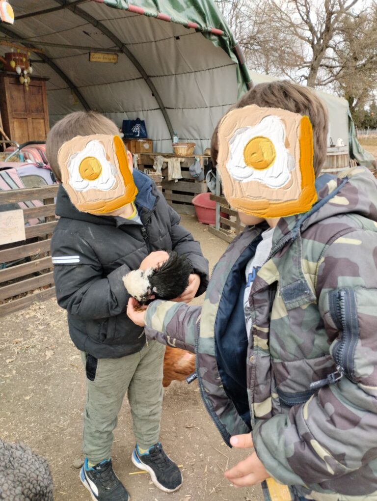 IMG 20240217 055423 768x1020