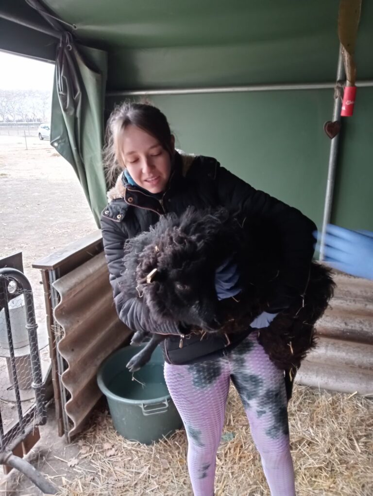 IMG 20240224 120752 768x1020