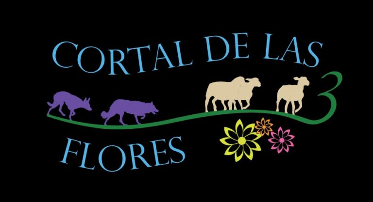 cortal de las 3 flores 768x417