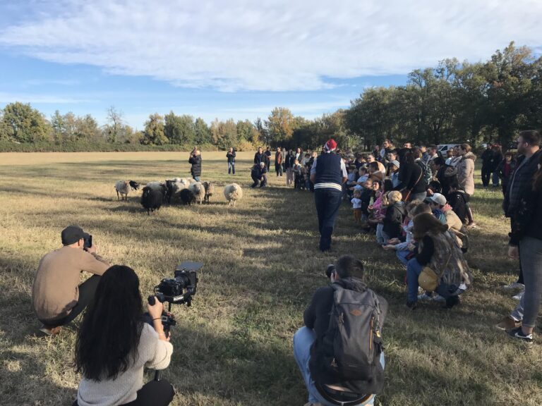 received 883513656491624 768x576