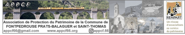 APPCF LOGO LONG v4 768x149