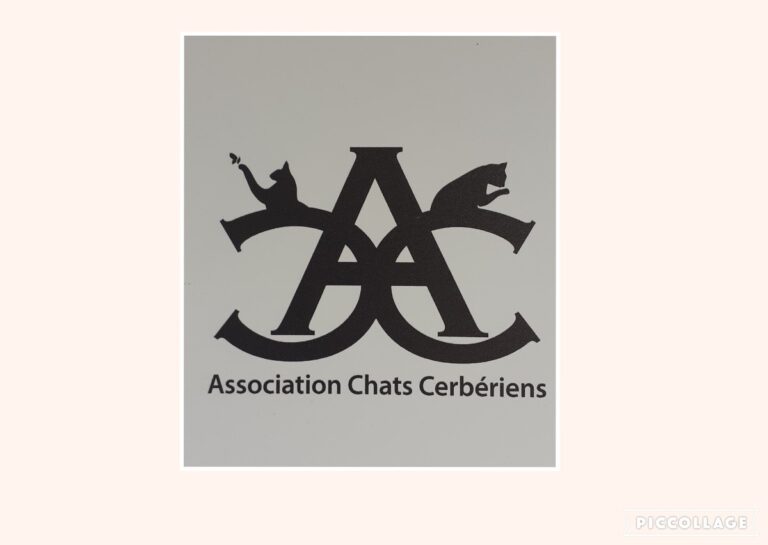 329693403 587324562864166 8585144492955003398 n 768x545