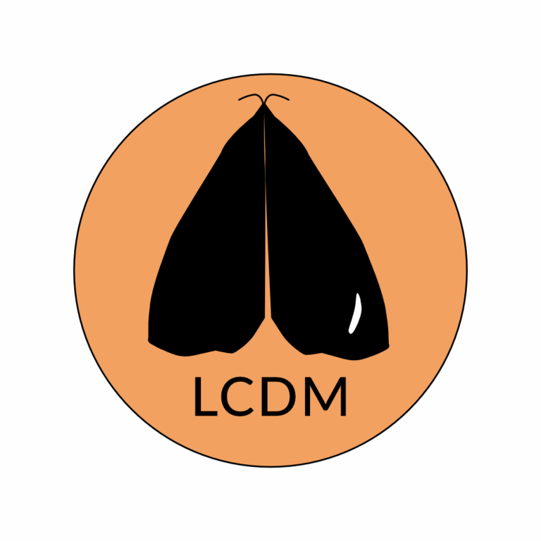 Logos LCDM 1080px 3 768x768
