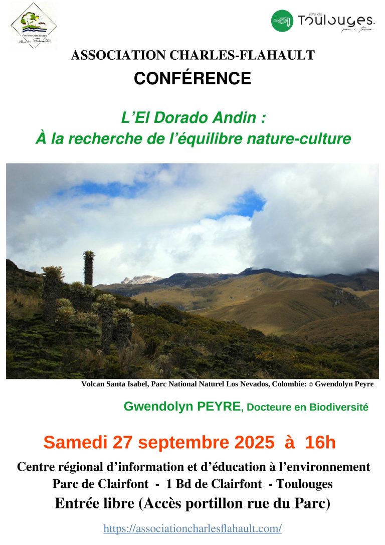 bc7c802b 6893 47e3 949c 3c80f8ef891a 0 768x1086