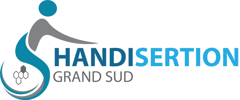 HandiSertion Logo 768x322