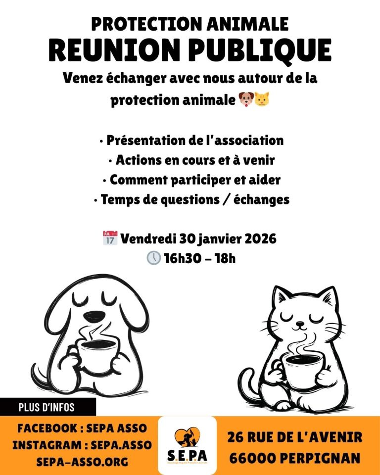 Affiche Evenement Refuge Publication Instagram 45 1 768x960