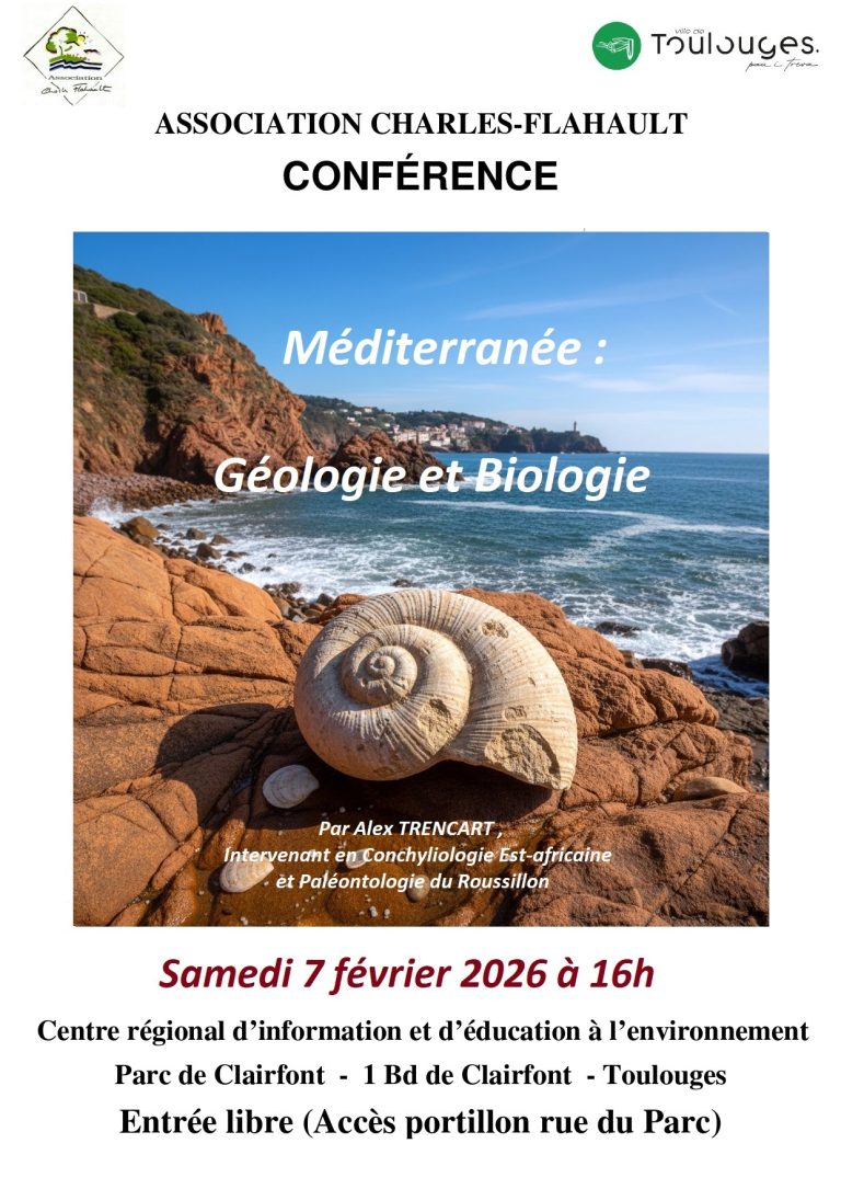 Affiche conference Alex 768x1085