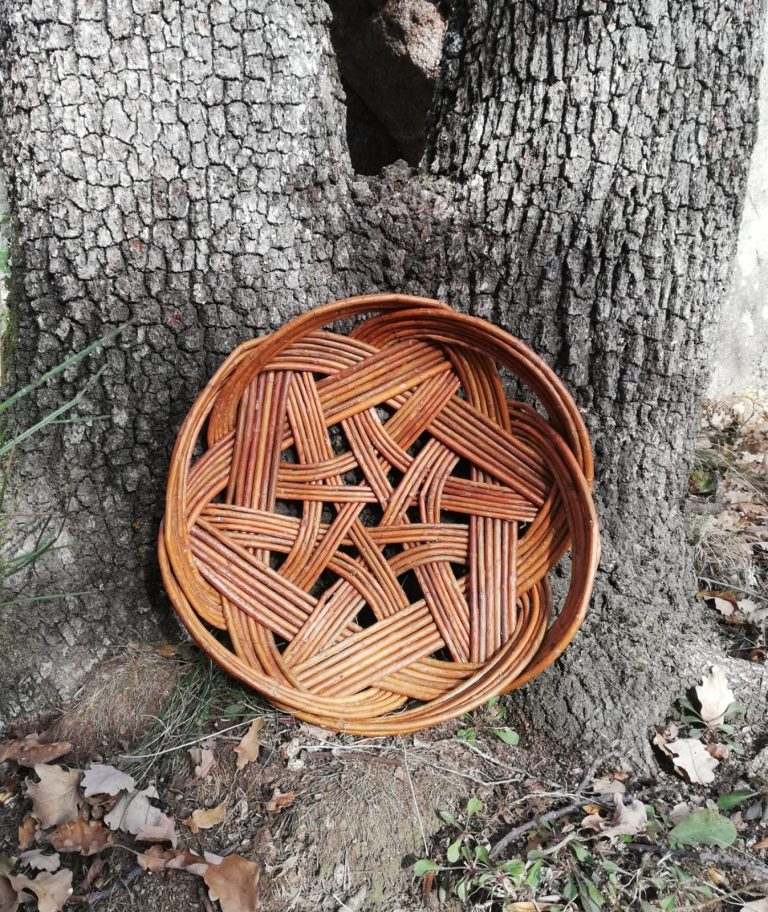 IMG 20251202 WA0022 768x912