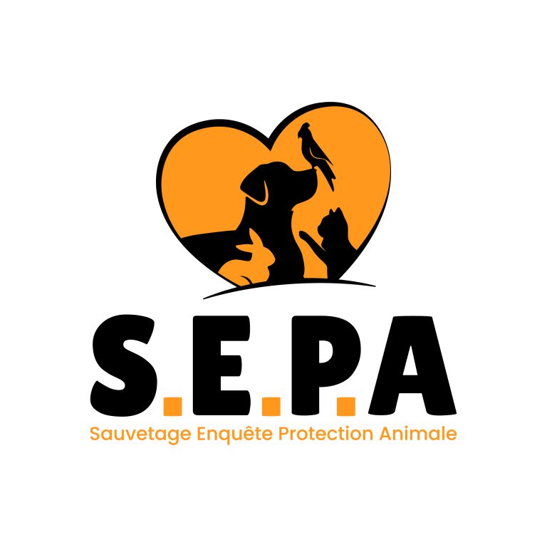 S.E.P.A LOGO 1 768x768