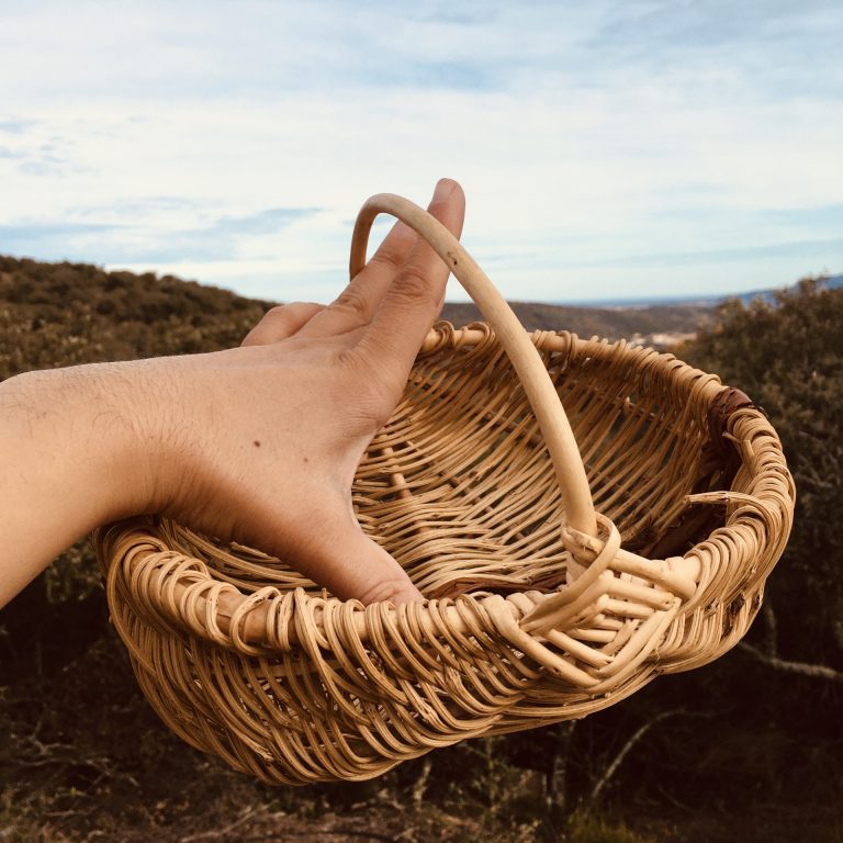 thumbnail 23924AED AFEB 433B 8C1F B12757074638 768x768