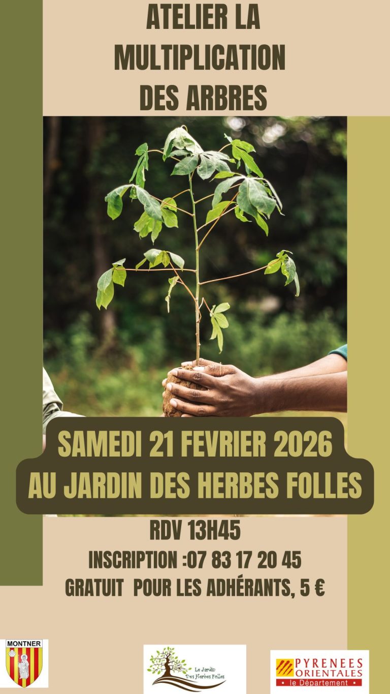 affiche21fev2026 768x1365