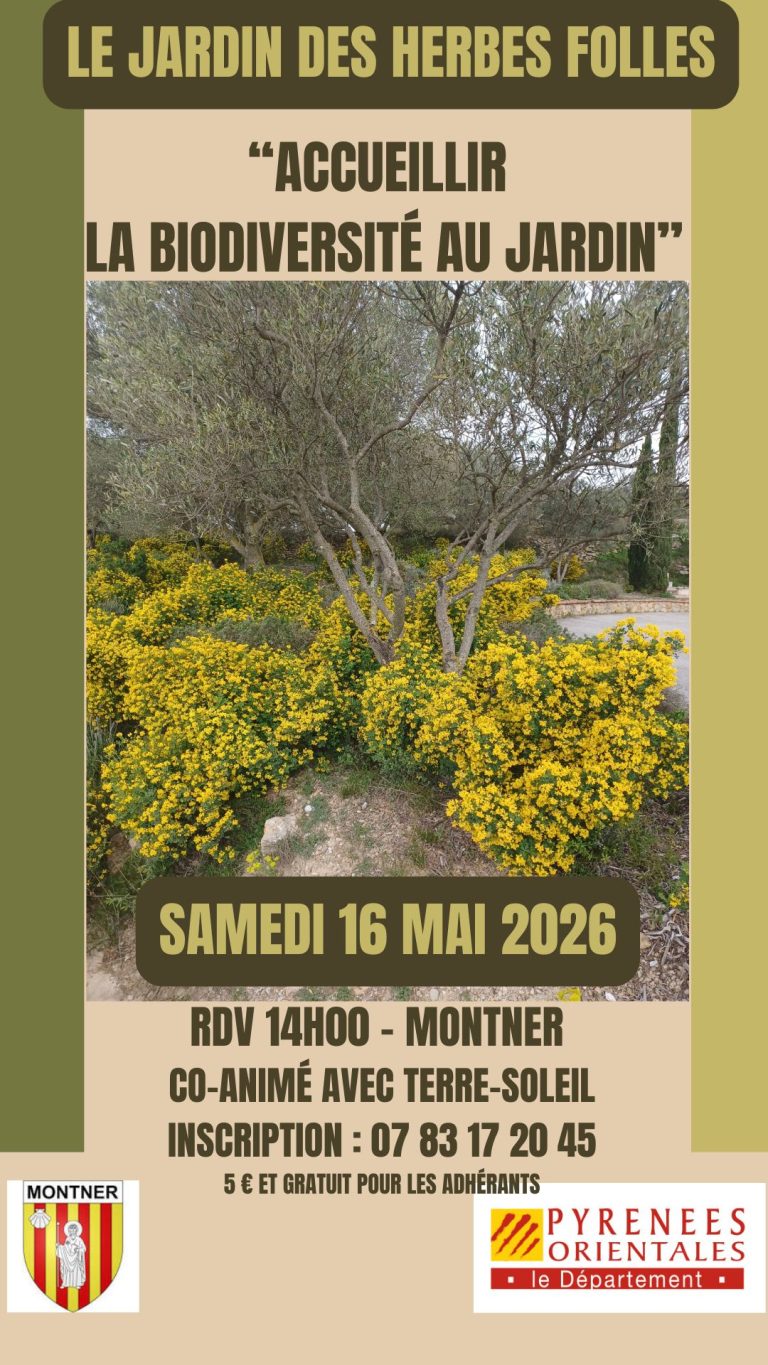 affiche16mai2026 768x1365