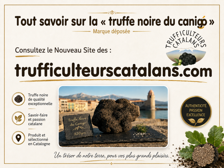 FACEBOOK syndicat trufficulteurs 768x576