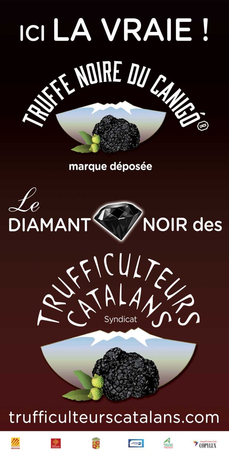 Rollup Truffe 2026 100x200 9 768x1536