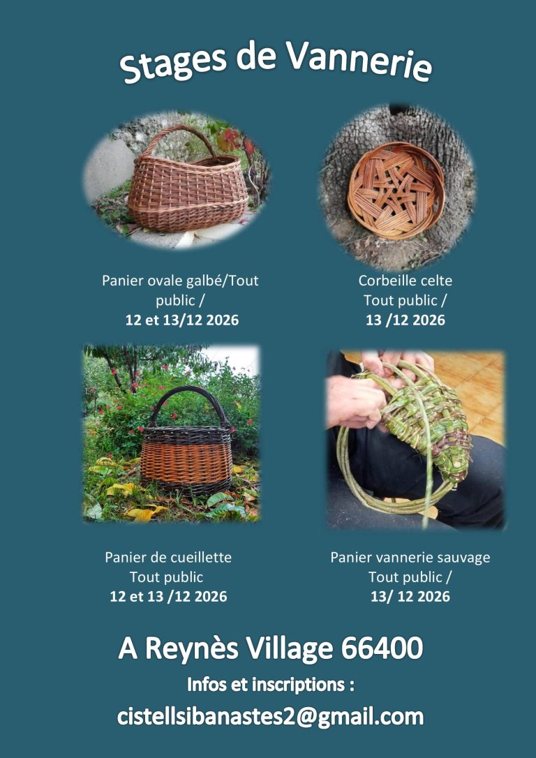 flyer 2026 page 2 768x1086